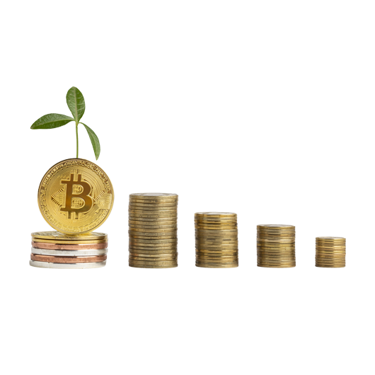 Bitcoin with sprout and coin stacks