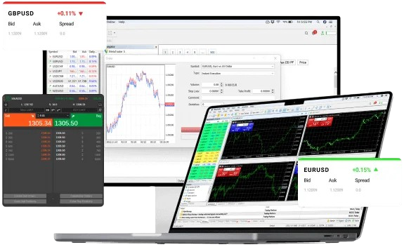 4XVC platform on desktop, laptop and mobile
